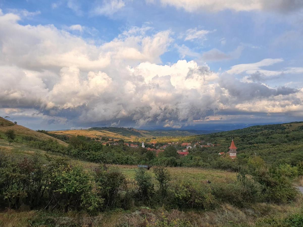 Motel Prislop Haţeg Dış mekan fotoğraf