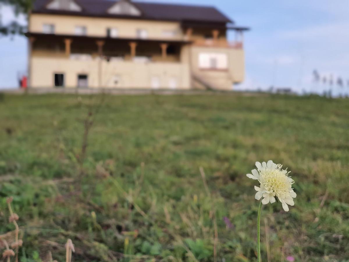 Motel Prislop Haţeg Dış mekan fotoğraf