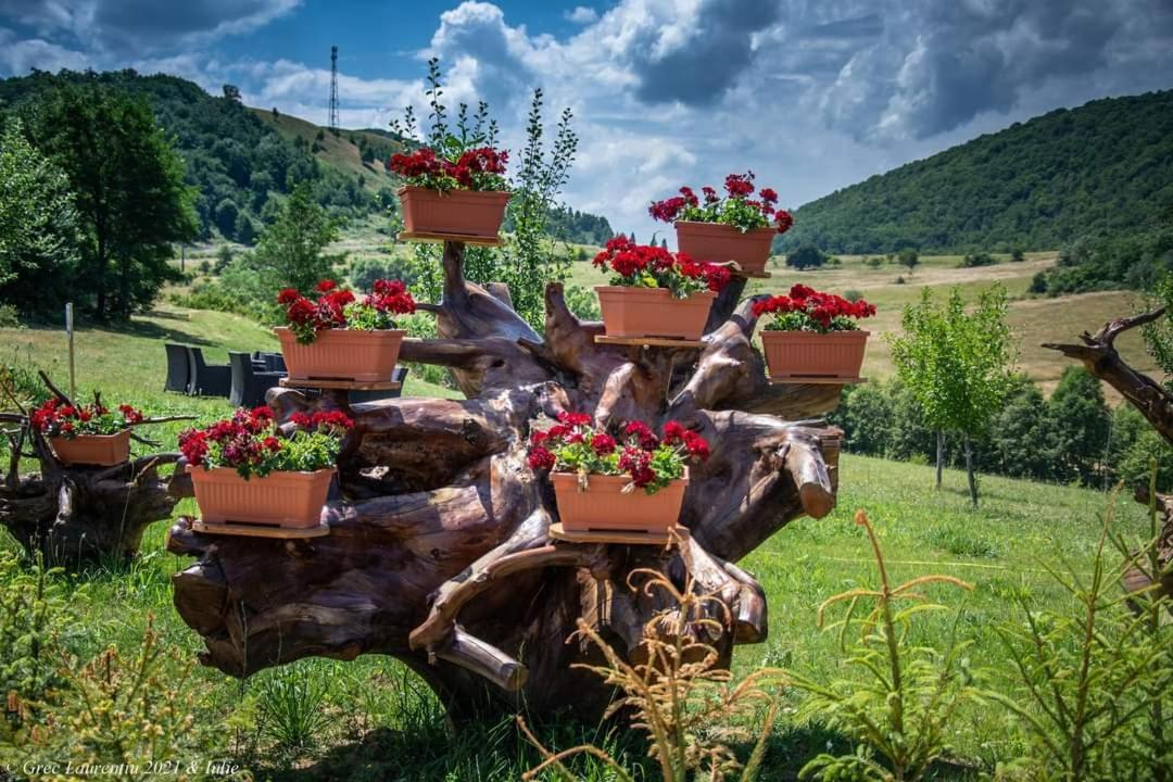 Motel Prislop Haţeg Dış mekan fotoğraf
