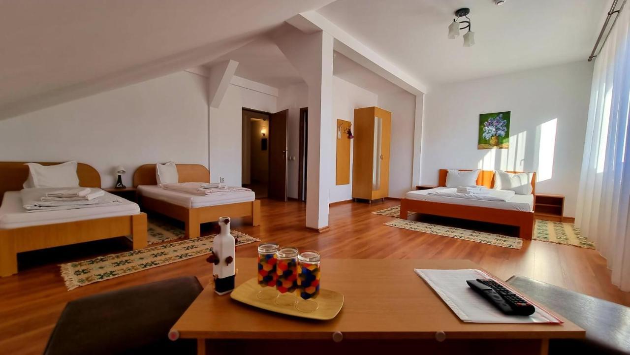Motel Prislop Haţeg Dış mekan fotoğraf