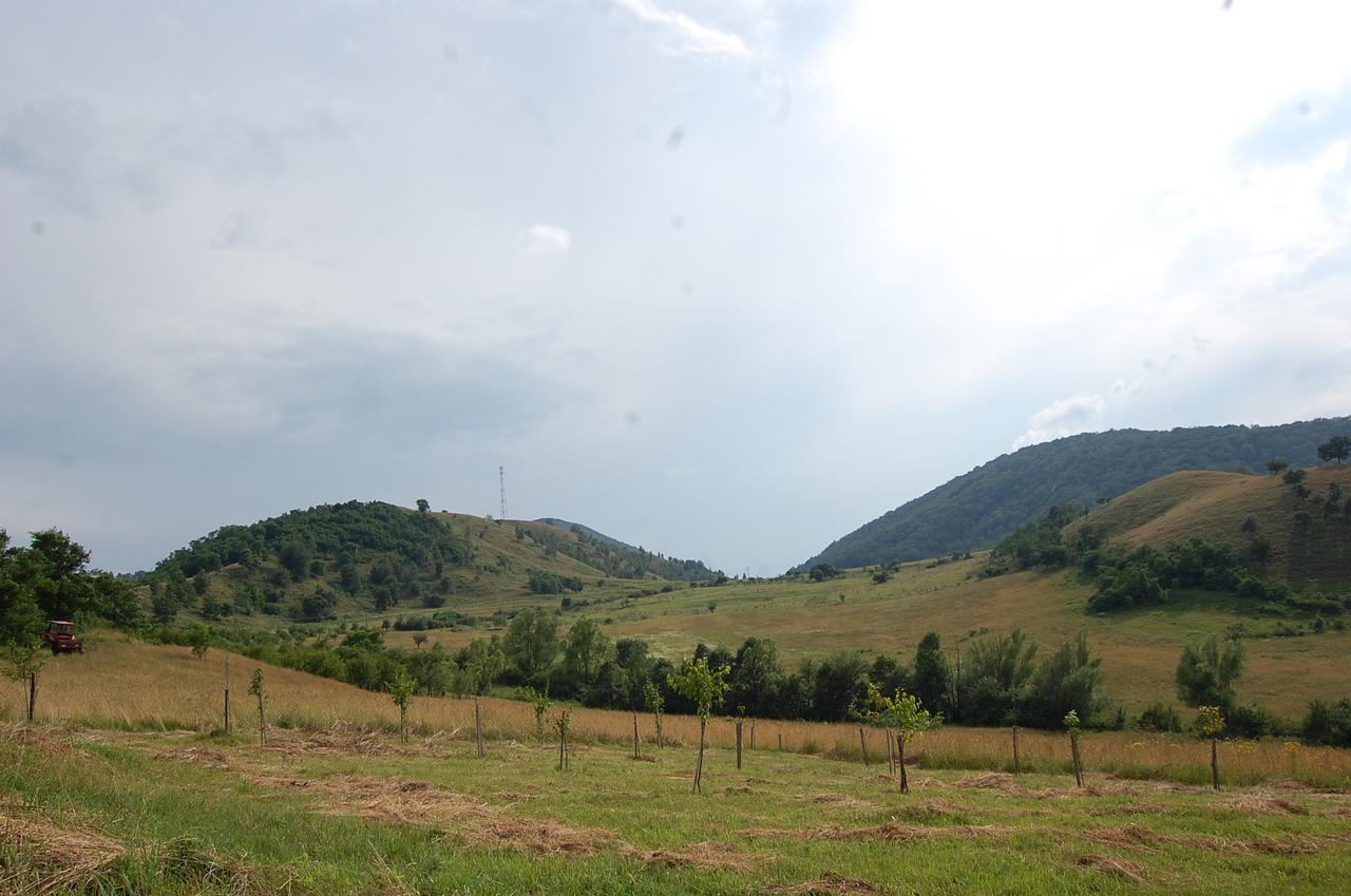 Motel Prislop Haţeg Dış mekan fotoğraf